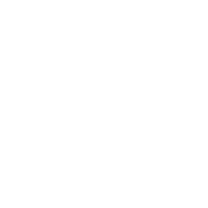 rotary international